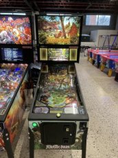 Flipperkast Jurassic Parc flipperkast / flipper / pinball Jurassic Parc