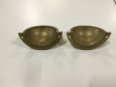 zz.0088 zz.0088 2dehands set van 2 jupiter ballenkuiupjes